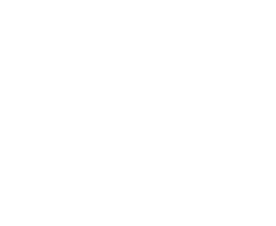 Raw House logo