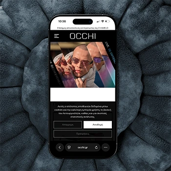 OCCHI project image 3
